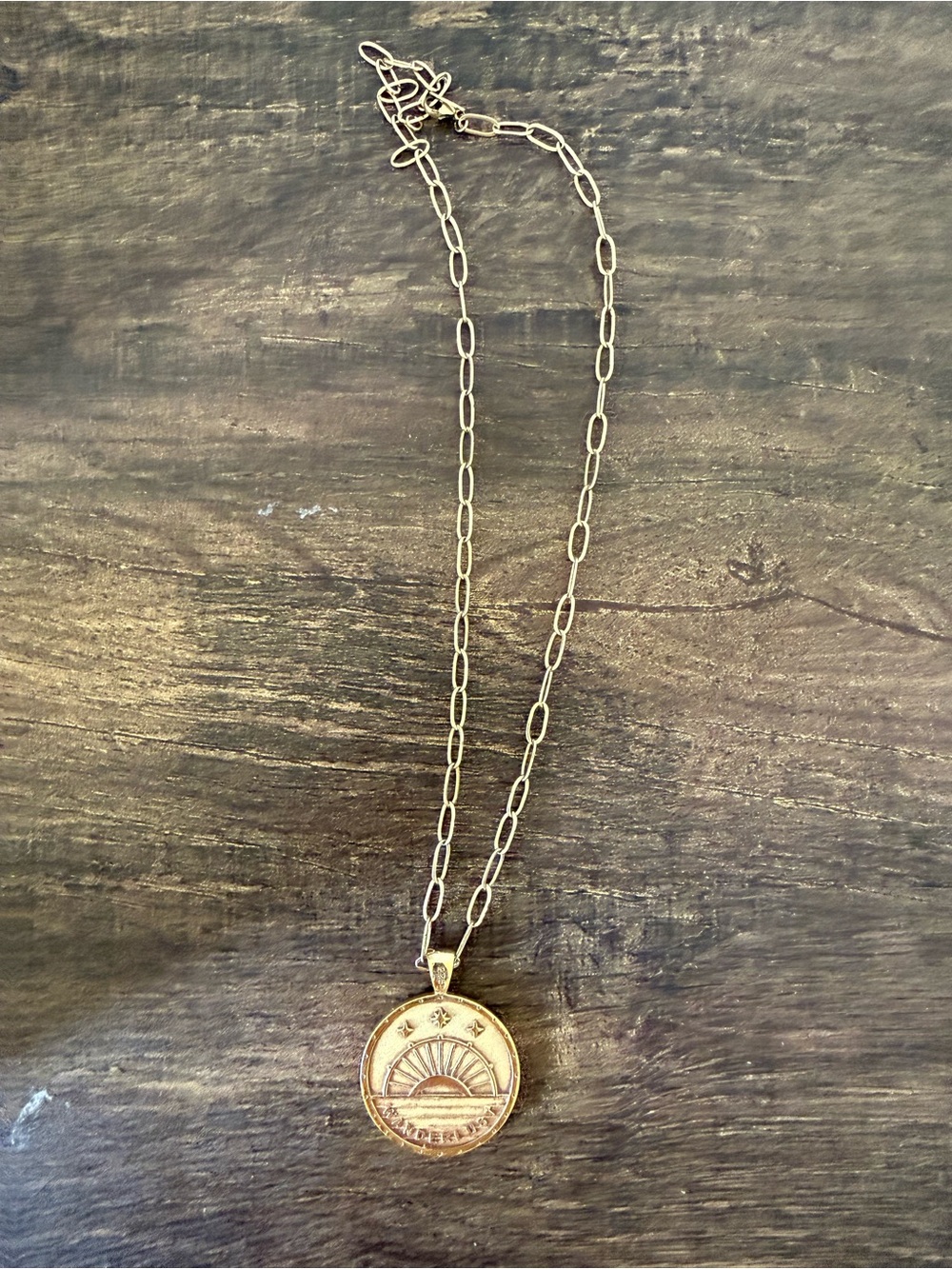 Jane Win WANDERLUST Gold Pendant Coin Necklace w/ Drawn Link Chain